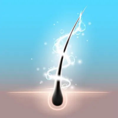 Detailed illustration of a hair follicle with a healthy hair strand growing, symbolizing how a Healthy way to grow hair fast starts at the root level.