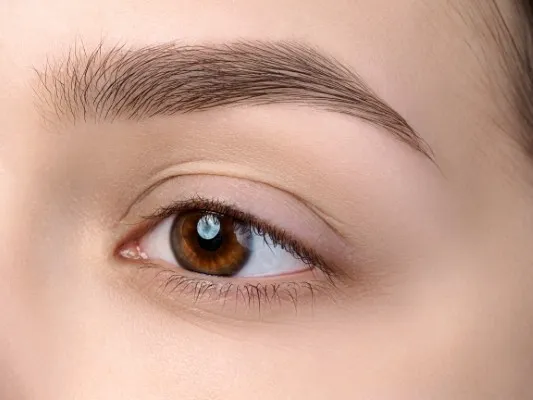 Vista detallada de un ojo color café y ceja castaña perfectamente perfilada para evaluar cuánto cuesta un injerto de cejas.