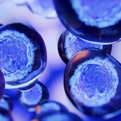 Representación microscópica de células madre con fines terapéuticos en la búsqueda de tratamientos no quirúrgicos efectivos para el cabello.